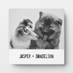 Placa Expositora Sencillo, moderno Mascota Personalizado o foto de 