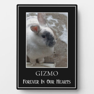 Placa Expositora Sencillo Monumento Fúnebre de Conejo Mascota con F