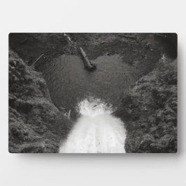 Placa Expositora Sentido