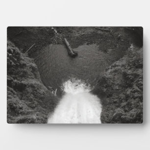 Placa Expositora Sentido