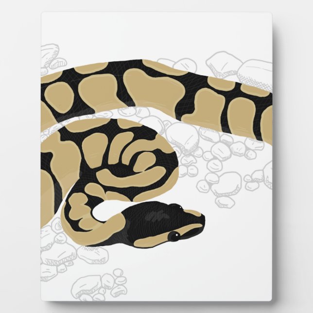 Placa Expositora Serpiente de Ball Python (Frente)