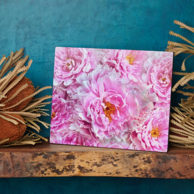 Placa Expositora Shabby Chic Pink Pastel Pink Peonies (Lado)