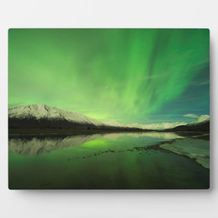 Placa Expositora Shallow Aurora