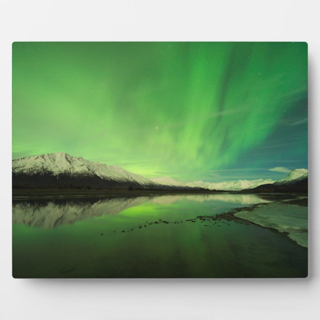 Placa Expositora Shallow Aurora (Frente)