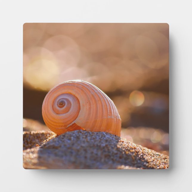Placa Expositora Shell Bokeh |Grecia (Frente)