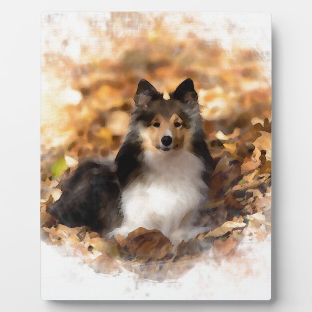 Placa Expositora Sheltie Shetland Sheepdog Art Painting (Frente)