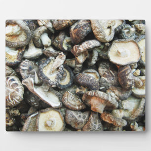 Placa Expositora Shiitake Mushrooms