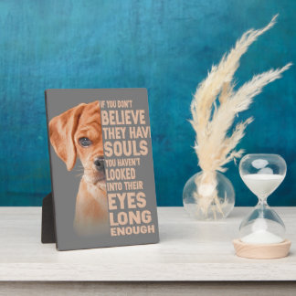 Placa Expositora Si no crees que tienen almas. Amante de la lucha