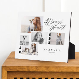 Placa Expositora Siempre En Nuestro Corazón Mascota Collage de foto