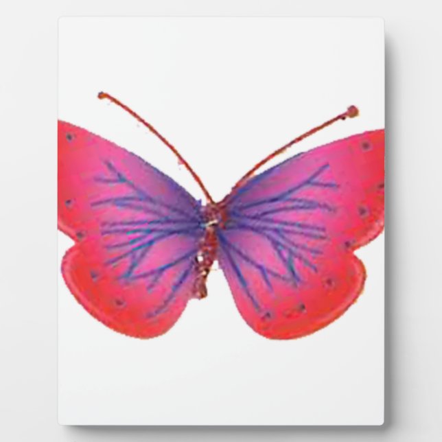 Placa Expositora Siempre para joven (Frente)