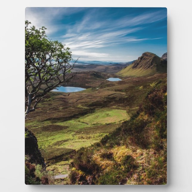 Placa Expositora ¡Sigue tus sueños! (Frente)