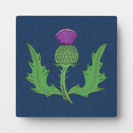 Placa Expositora Silbato