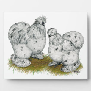 Placa Expositora Silkie Bantam Splash Chickens