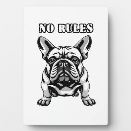 Placa Expositora Sin reglas