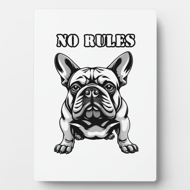 Placa Expositora Sin reglas (Frente)