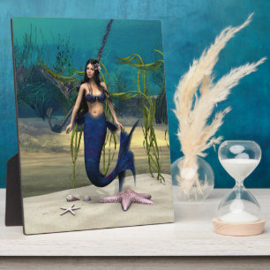 Placa Expositora Sirena
