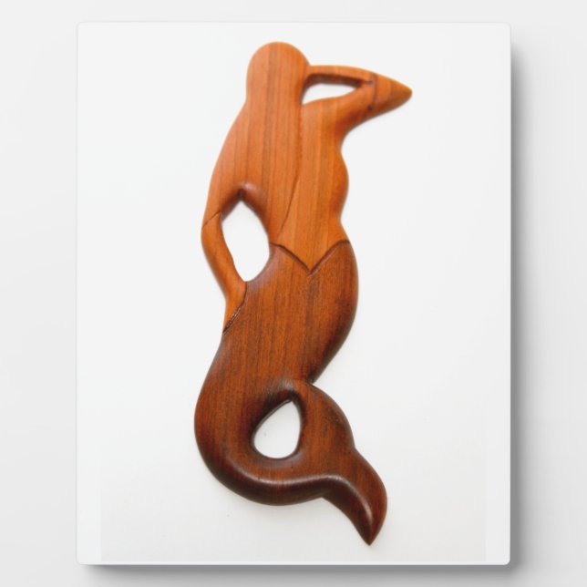 Placa Expositora sirena de observación de bronca (Frente)