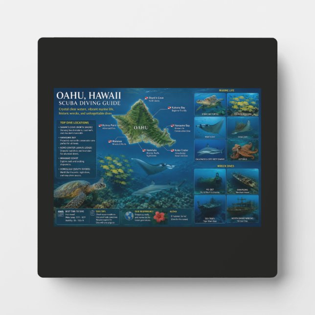 Placa Expositora Sitios de buceo en Hawái (Frente)