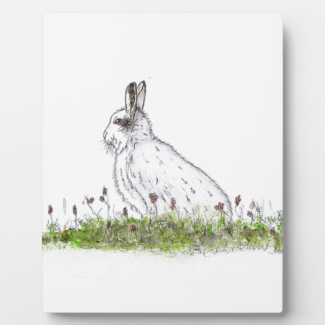 Placa Expositora Snow Hare (Frente)