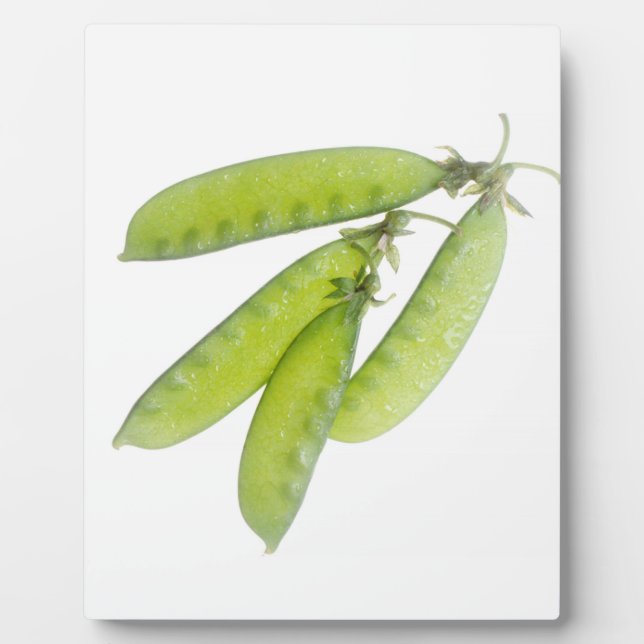 Placa Expositora Snow Peas (Frente)