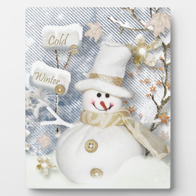 Placa Expositora Snowman de invierno frío (Frente)
