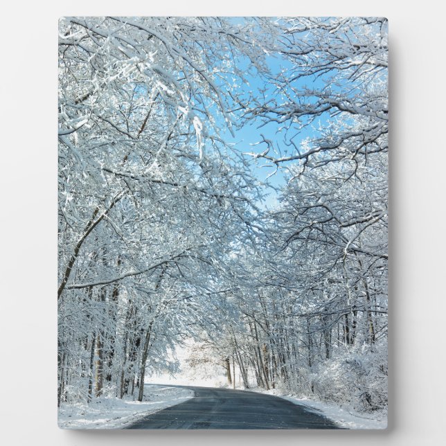 Placa Expositora Snowy Winter Trees (Frente)
