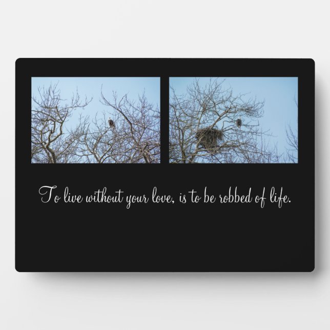 Placa Expositora Socios de vida (Frente)