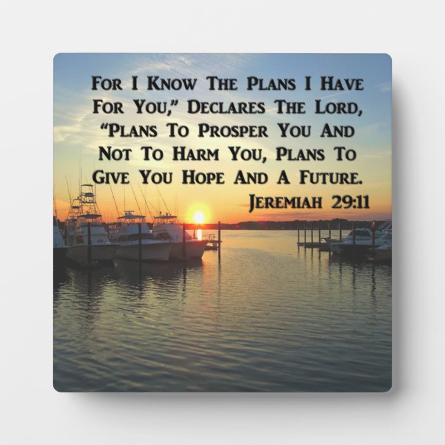 PLACA EXPOSITORA SOL TRANQUILO EN EL LAGO (Frente)