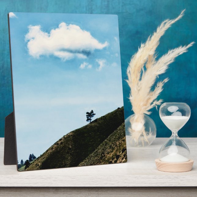 Placa Expositora Solo (Lado)