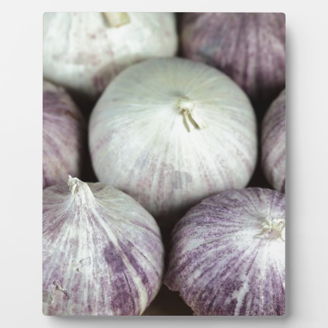 Placa Expositora Solo Garlic (Frente)