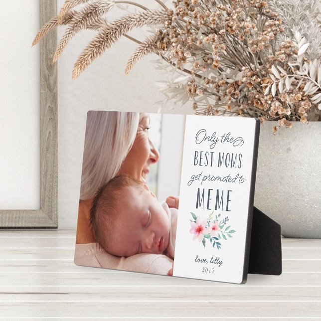 Placa Expositora Solo las mejores madres son promocionadas a meme (Subido por el creador)