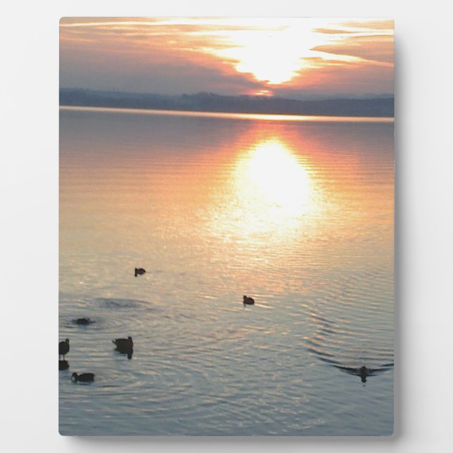 Placa Expositora Sonnenuntergang am See mit Enten (Frente)