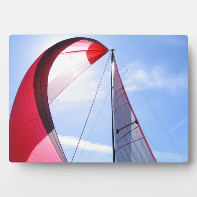Placa Expositora Spinnaker Rojo Con Sol (Frente)