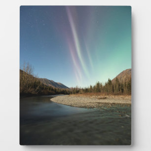 Placa Expositora Spires Aurora