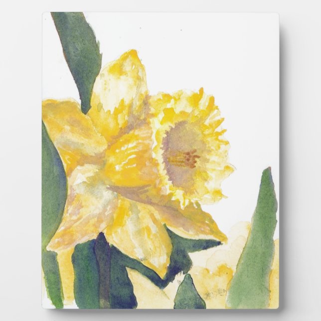 Placa Expositora Spring Daffodils (Frente)