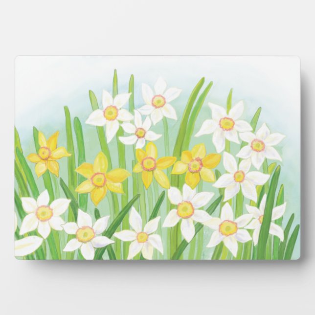 Placa Expositora Spring Daffodils (Frente)