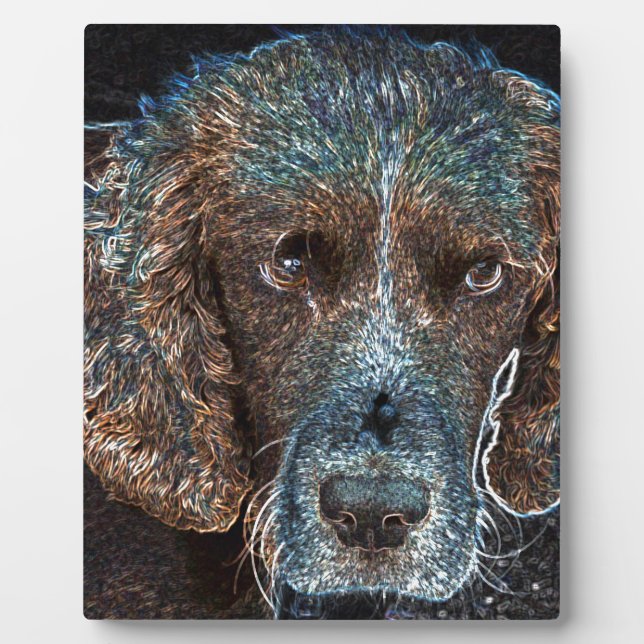 Placa Expositora Springer Inglés (Frente)