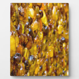 Placa Expositora St Thomas 2