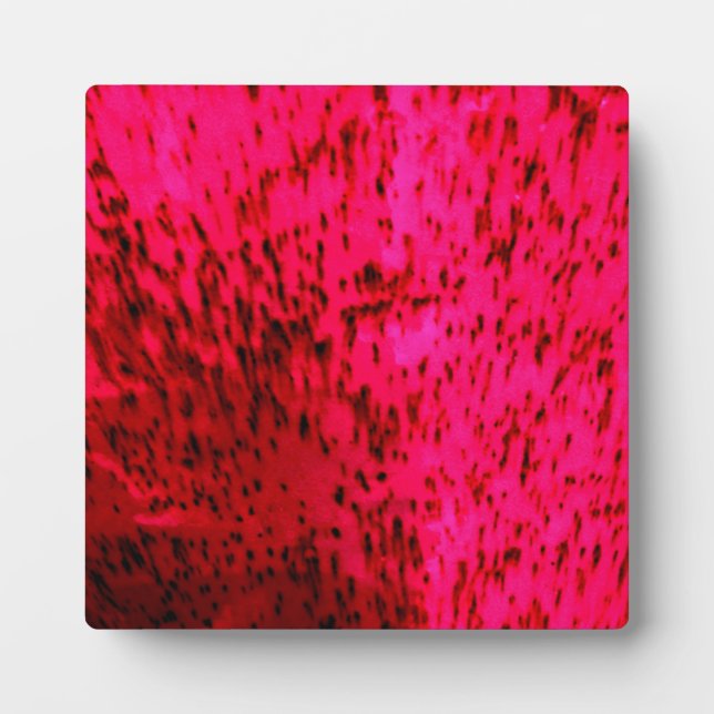 Placa Expositora Strawberry Earthenware (Frente)