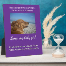 Su Espíritu Vive en el Amor