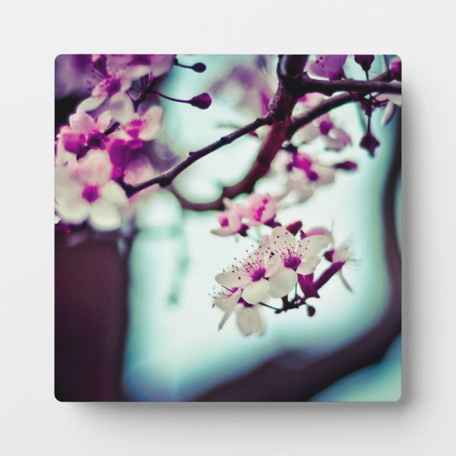 Placa Expositora Sucursal de cerezo (Frente)