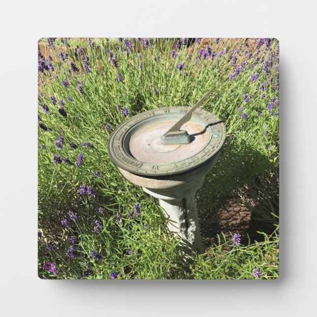 Placa Expositora Sundial en Lavender (Frente)