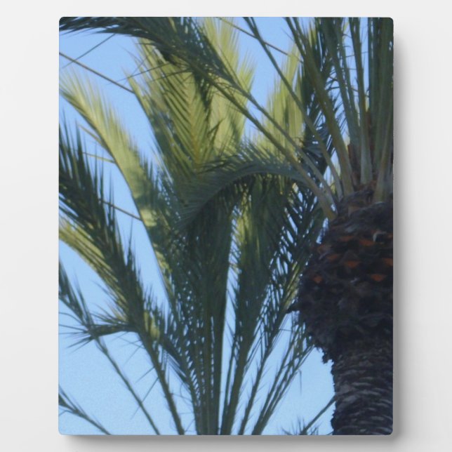 Placa Expositora Sunny Palm Trees California Vacation (Frente)