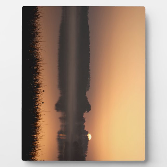 Placa Expositora Sunrise (Frente)