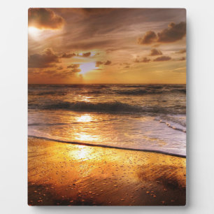 Placa Expositora Sunset