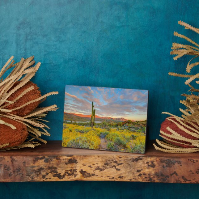 Placa Expositora Sunset en el paisaje del desierto (Lado)