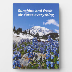 Placa Expositora Sunshine y aire fresco