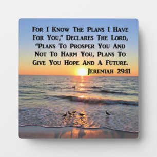 PLACA EXPOSITORA SUPLEMENTO DE JEREMIAH 29:11