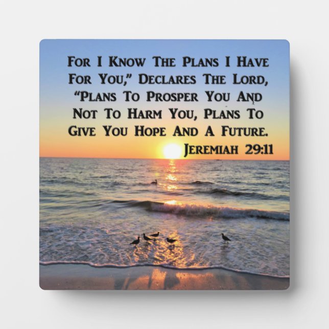 PLACA EXPOSITORA SUPLEMENTO DE JEREMIAH 29:11 (Frente)
