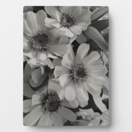 Placa Expositora Susan Flowers de ojos marrones